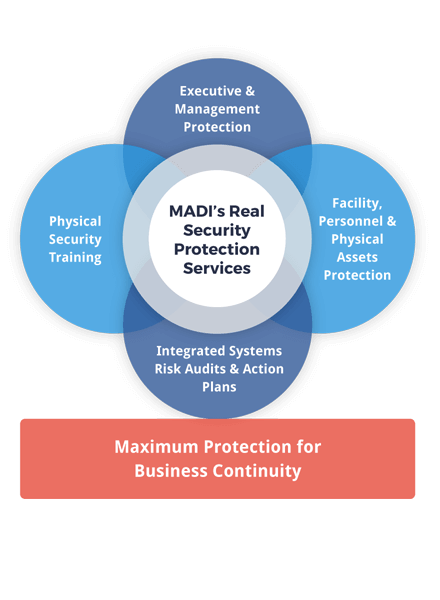 executive-security-solution--integrated-physical-security-system-design.png