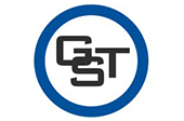 Gst Logo